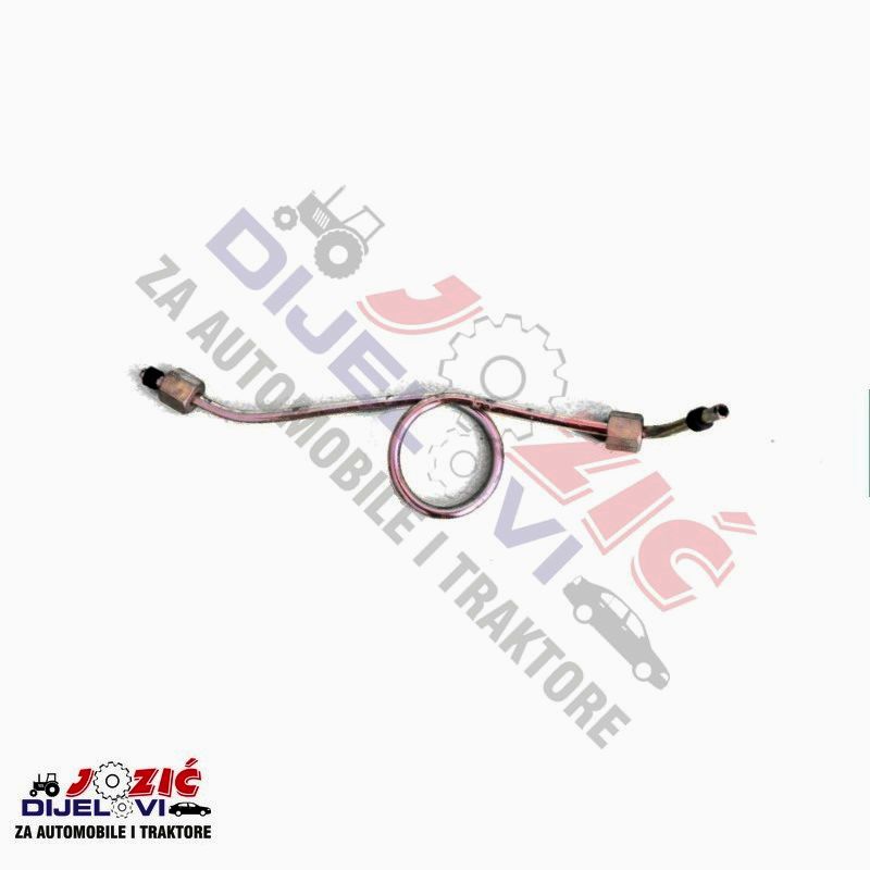 Daisy on the Ohoopee